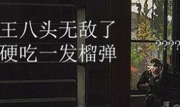 龙猫爆料宝哥视频大全下载,精彩瞬间一网打尽